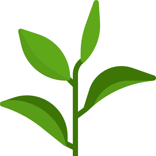 scea-flora-mazeres-plantes.png scea-flora-mazeres-plantes.png